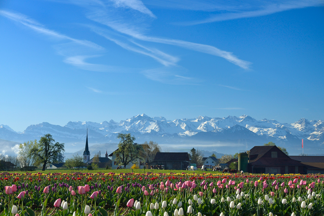 Frühling im Seetal | © perretfoto.ch