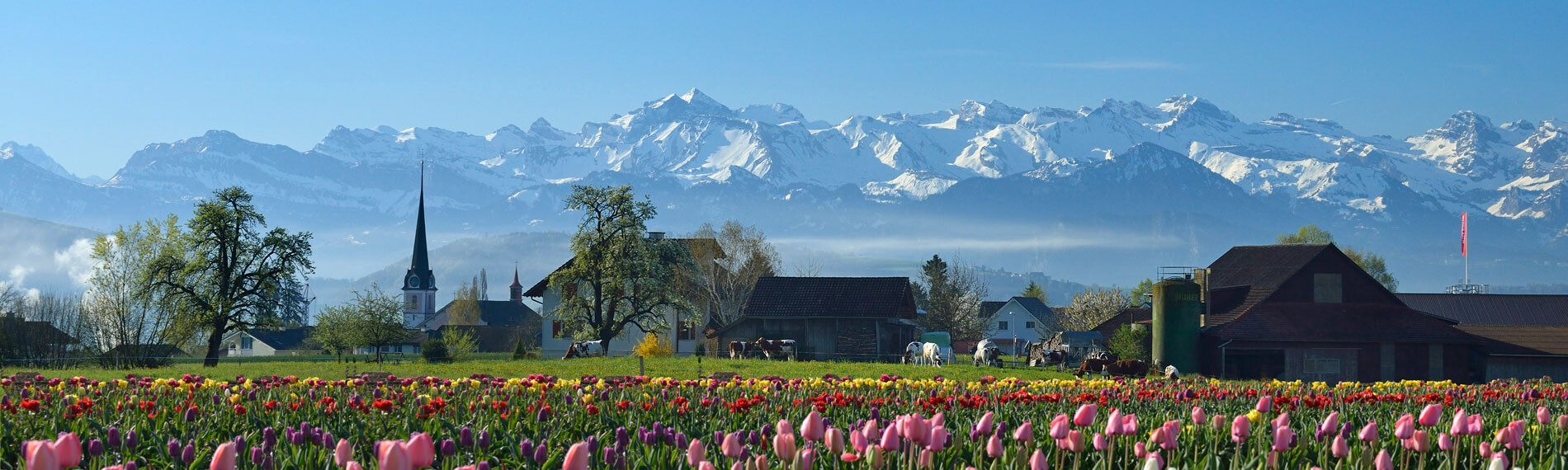 Frühling im Seetal | © perretfoto.ch